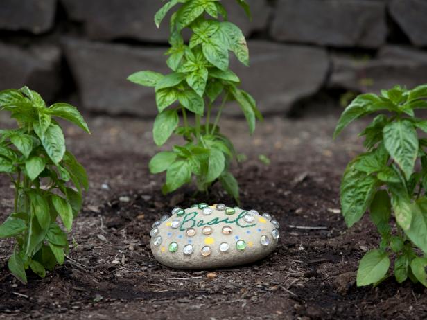Basil Plants With Decorative Stone Marker Basil Plants With Decorative Stone Marker