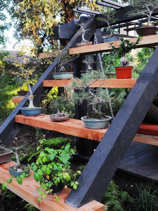 Contemporary Pergola With Plants Contemporary Pergola With Plants