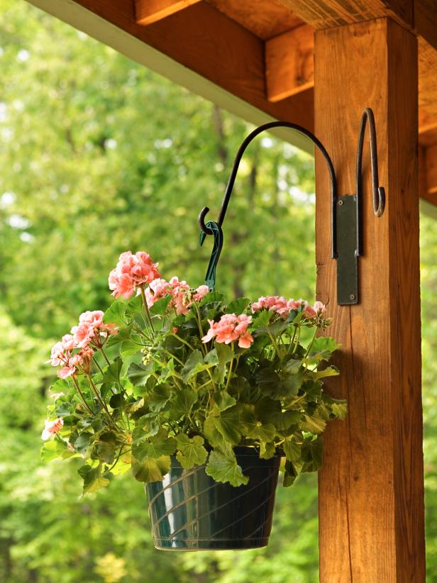 How to Support and Water Hanging Baskets | HGTV