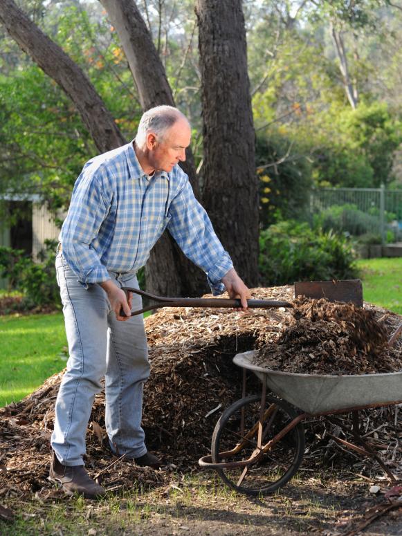 Mulching Technique Mulching Technique