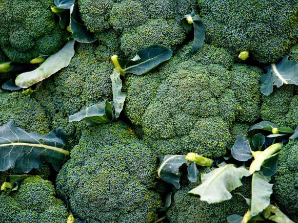 Heads of Broccoli Heads of Broccoli