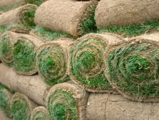 Rolls of Sod