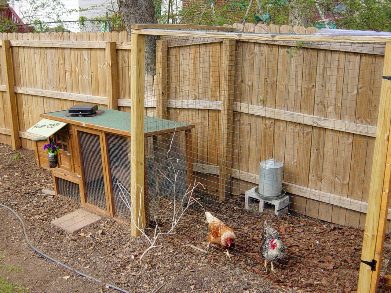 Chicken Coops for Backyard Flocks | Landscaping Ideas and ...