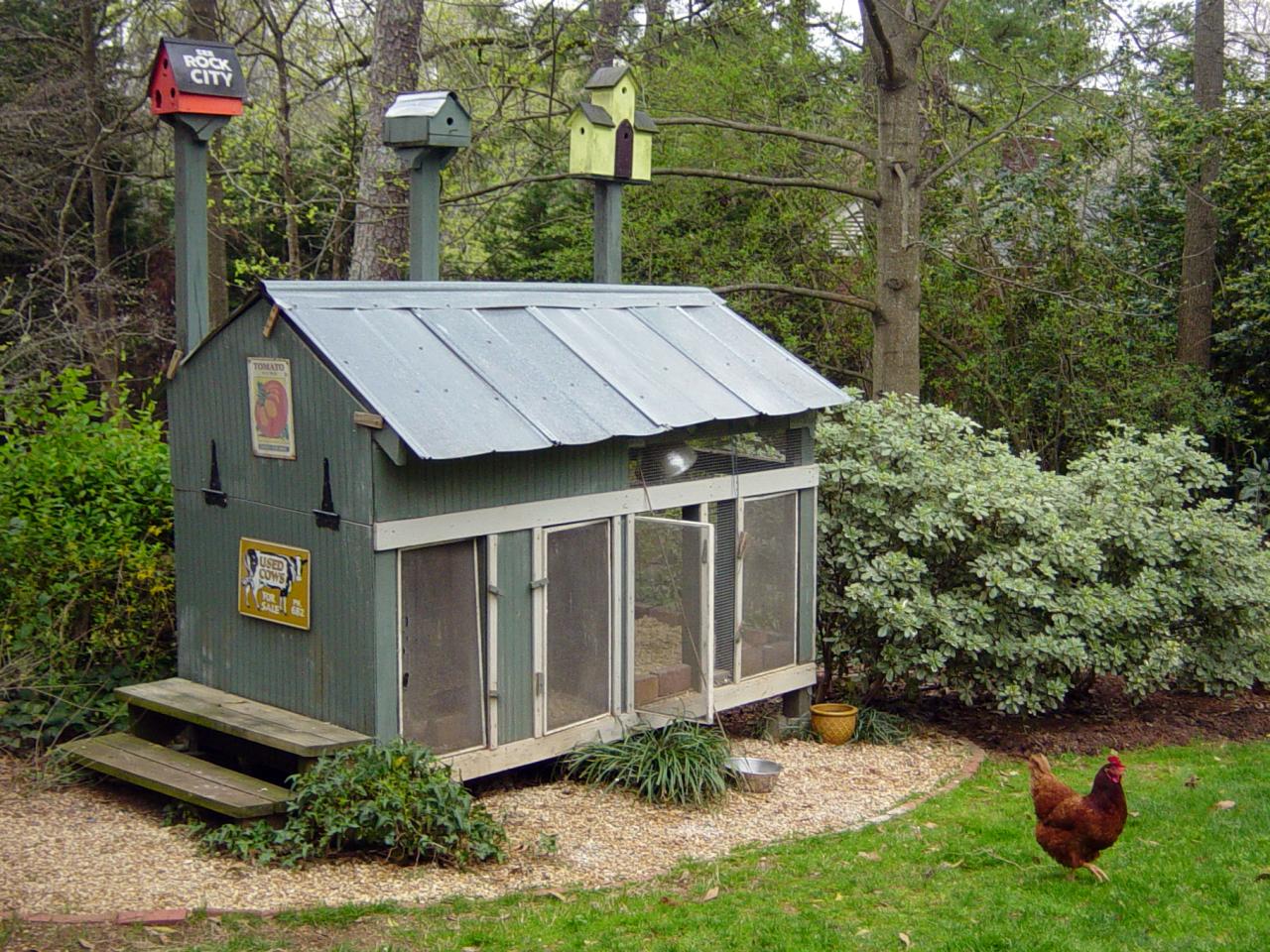 Chicken Coops For Backyard Flocks Landscaping Ideas And Hardscape Design Hgtv