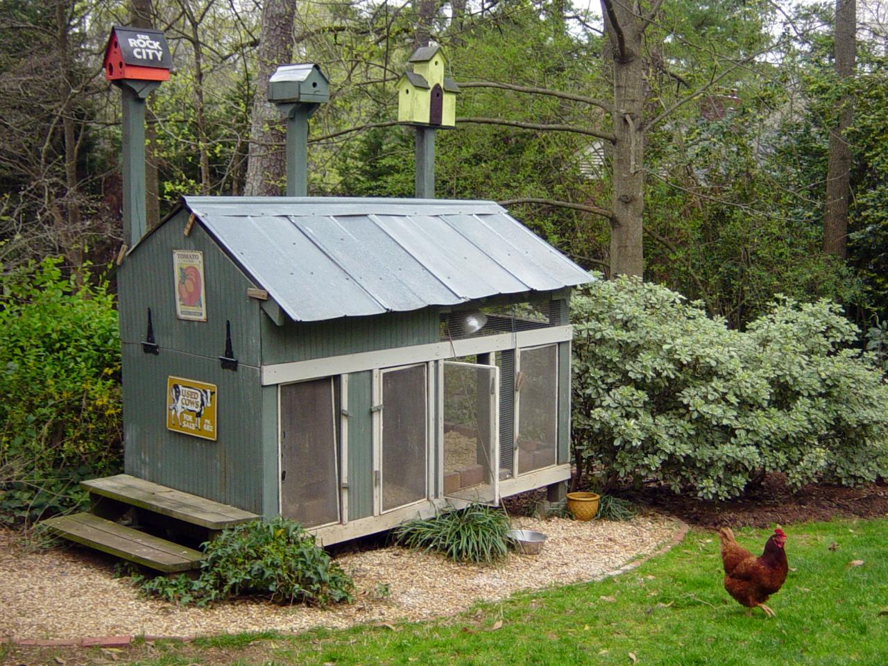 Chicken Coops For Backyard Flocks Landscaping Ideas And Hardscape Design Hgtv 