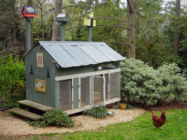 Chicken Coop Design Ideas 18 incredible diy chicken coop designs and ideas Chicken Coops For Backyard Flocks Hgtv Chicken Coop Design Ideas 22 diy chicken coops you need in your backyard diy chicken coop plans Chicken Coops For Backyard Flocks Hgtv