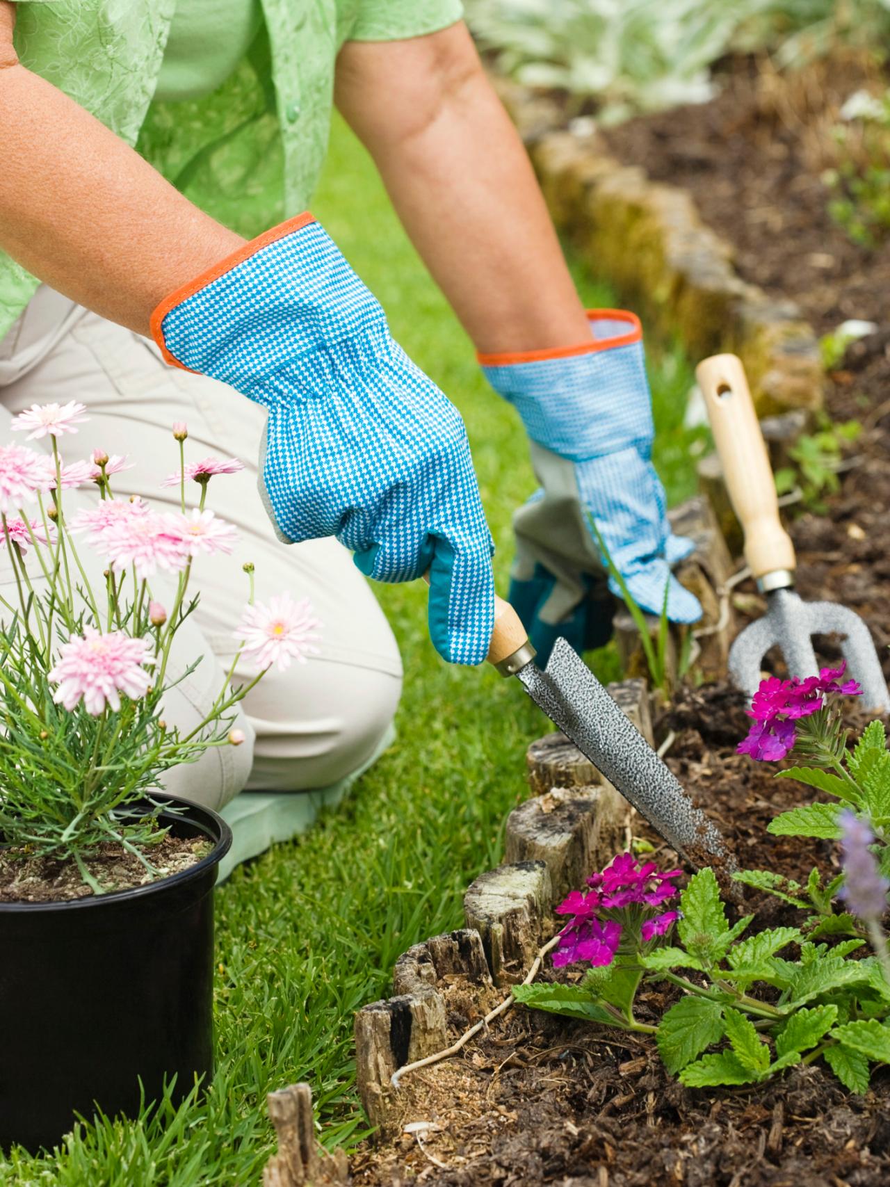 Planting a Shady Strip | HGTV