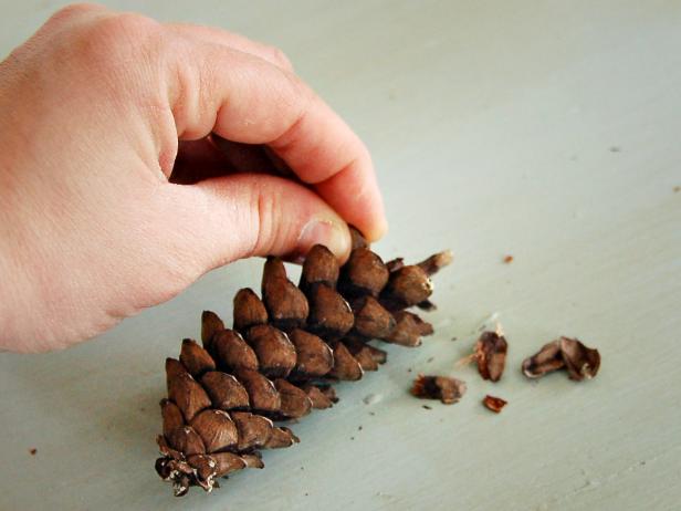 Use pincone scales to bring your nature theme holiday cardmaking to live