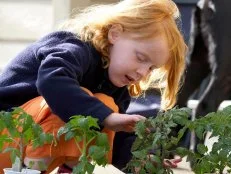 Kid Helping With Vegetable Garden