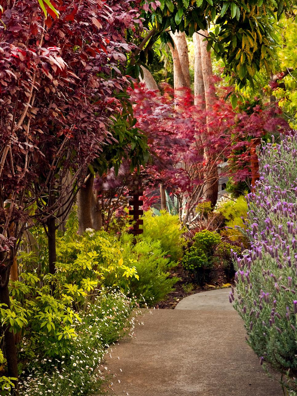 Walkway Lined with Colorful Flowering Plants and Trees