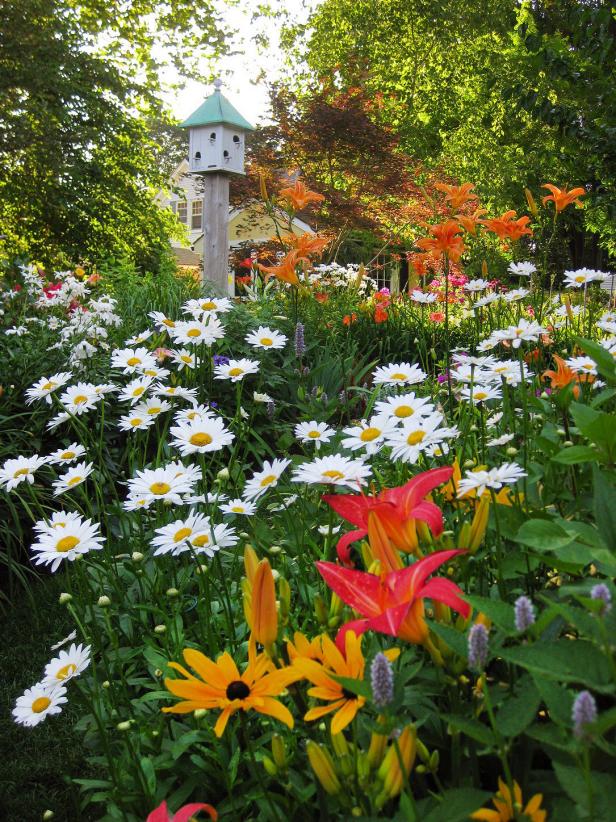Home Garden With Birdhouse Home Garden With Birdhouse
