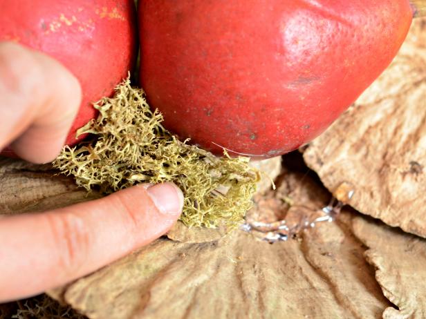 Once main elements of wreath are affixed, use hot glue to fill in sparse areas with clumps of moss, small pinecones or seed pods