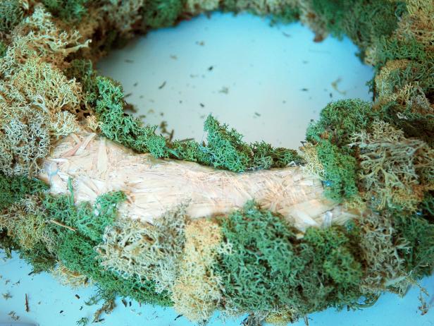 Continue adding moss, alternating between light and dark mosses, until entire wreath form is covered; don't forget to cover the back as well. Pull off dried hot glue strings.