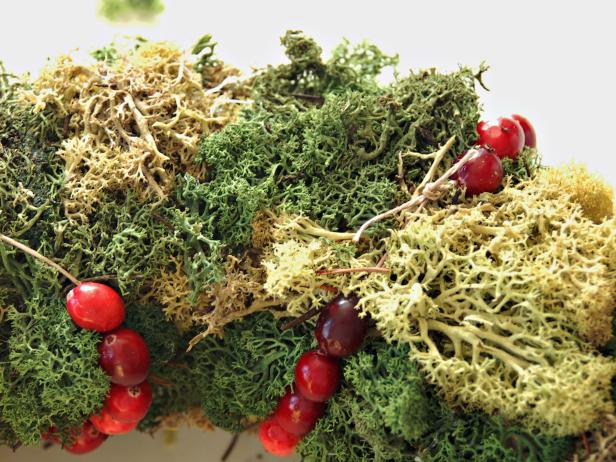 Wrap lengths of cranberries around wreath and tie in back.