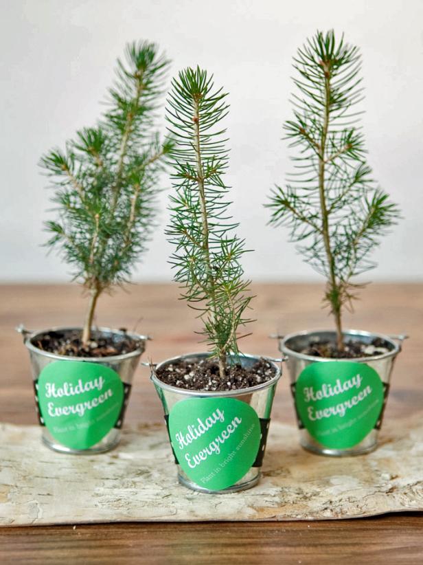 Christmas tree party favors