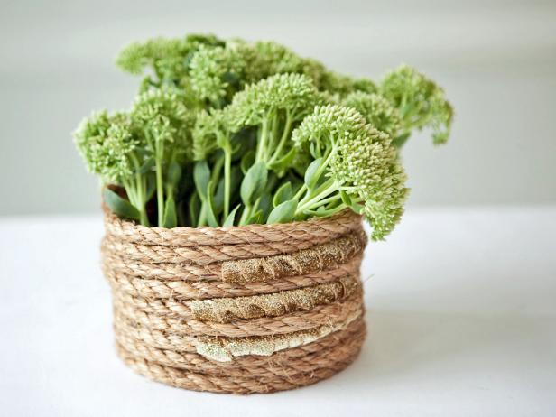 DIY Rope Basket Filled With Green Plant DIY Rope Basket Filled With Green Plant
