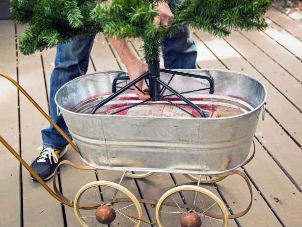Tree in Metal Wash Bucket on Wheels