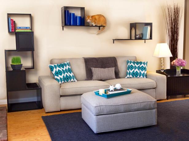 Cat Friendly Shelves in Living Room Cat Friendly Shelves in Living Room