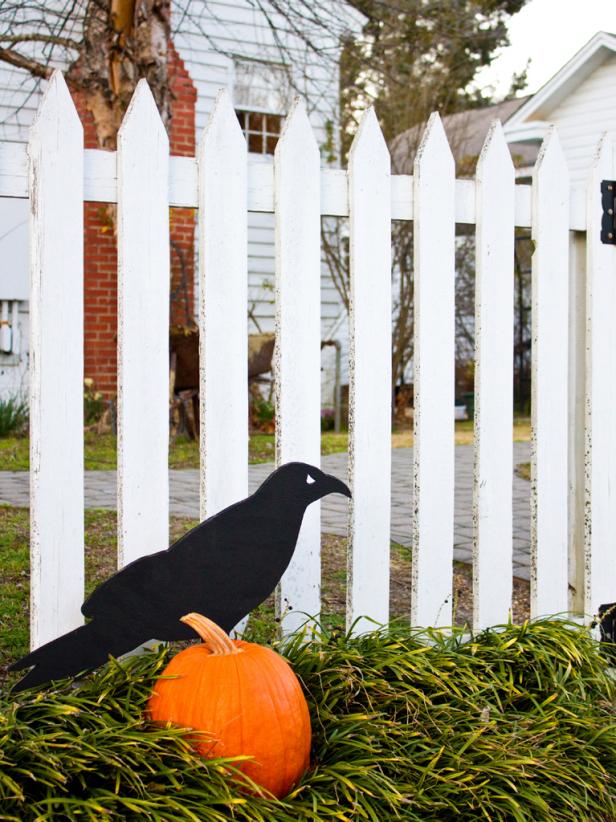Raven and pumpkin in front of fence