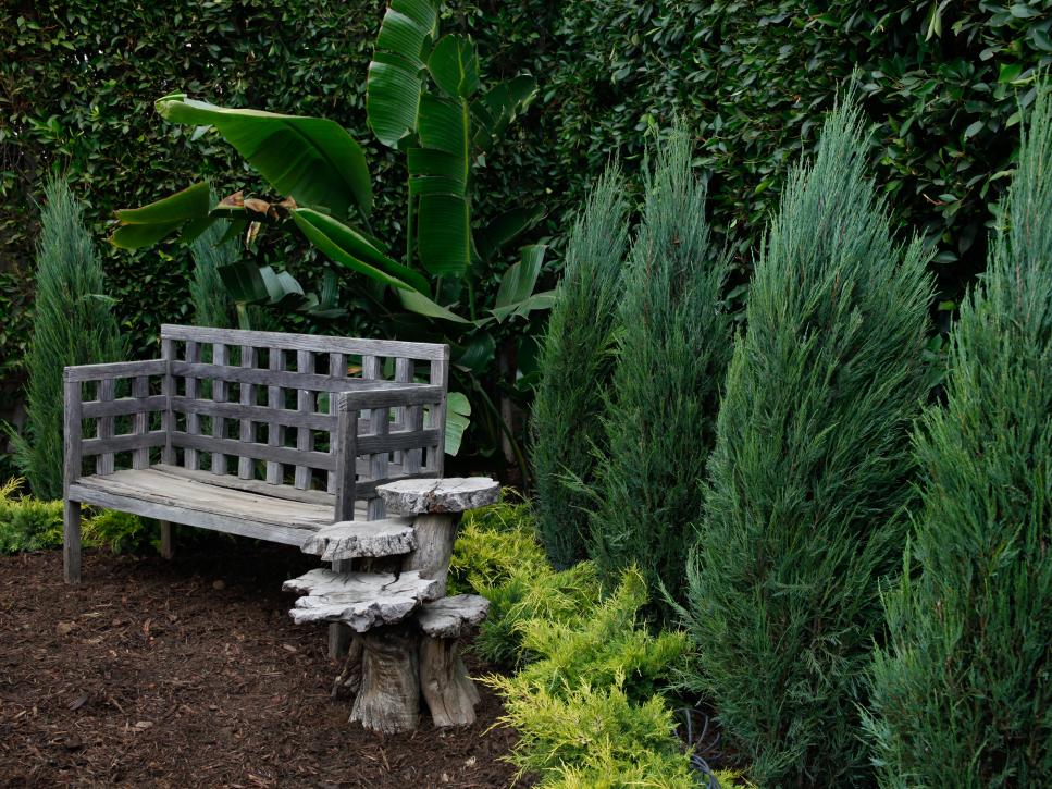 Wood garden bench and sculpture
