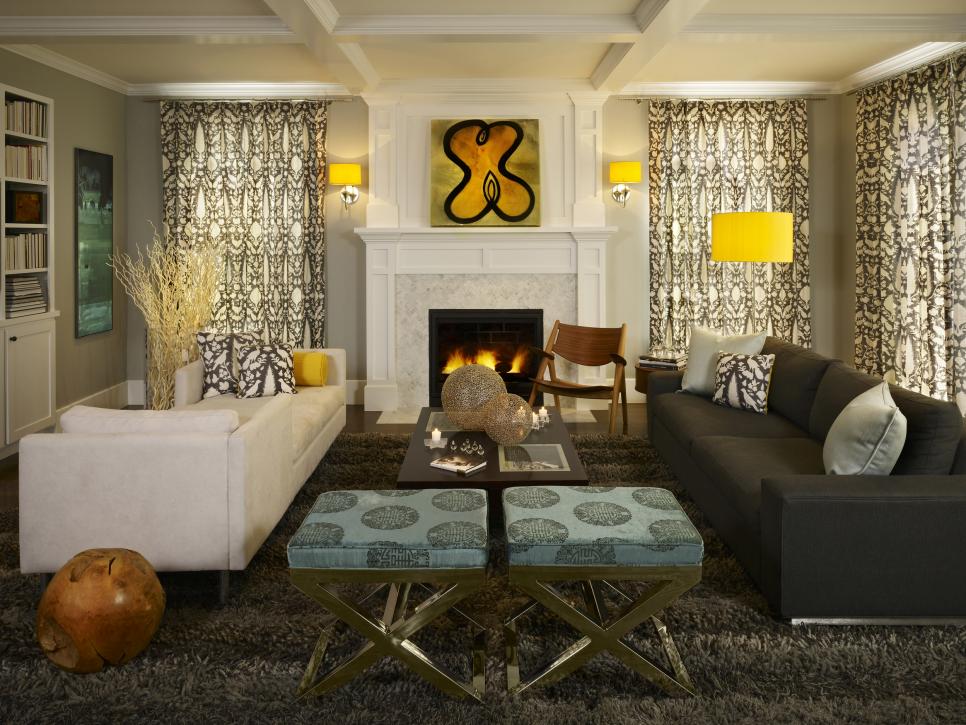 Contemporary Living Room With Gray Shag Rug