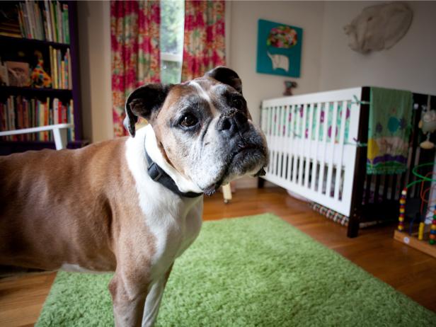 Eclectic Nursery With Baby's Best Friend Eclectic Nursery With Baby's Best Friend