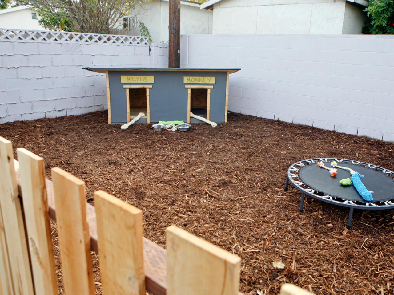 Backyard Ideas For Kids And Dogs