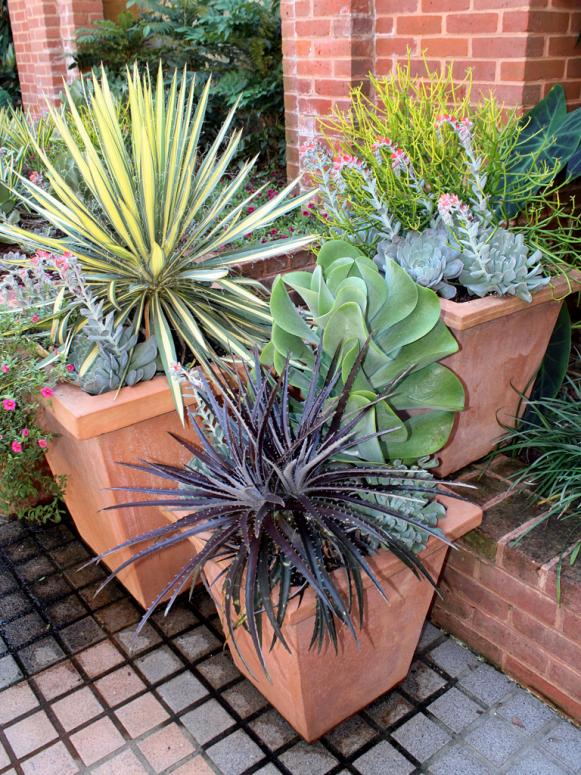 Plant Containers Plant Containers