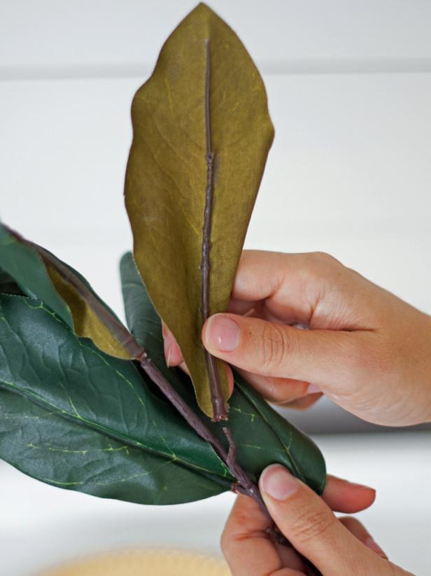 Detach Magnolia Leaves From Stem Detach Magnolia Leaves From Stem