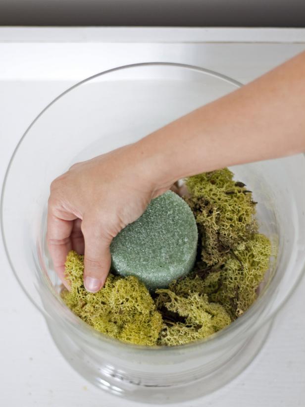Top nuts with a layer of reindeer moss.