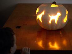Kid looking at carved pumpkin