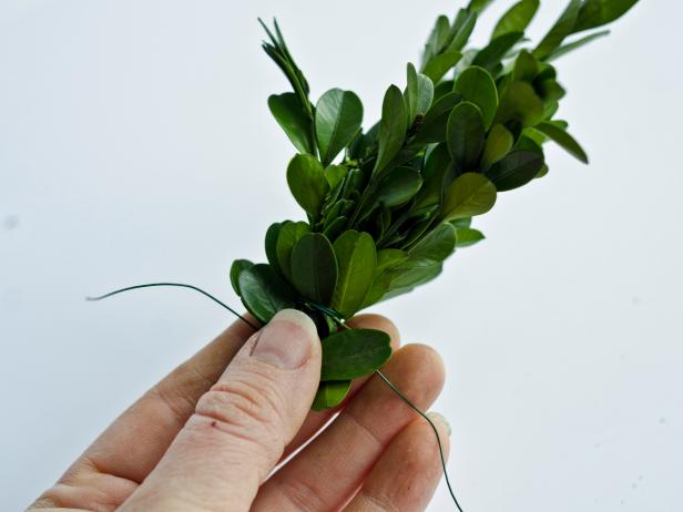 Boxwood Sprig Bunch