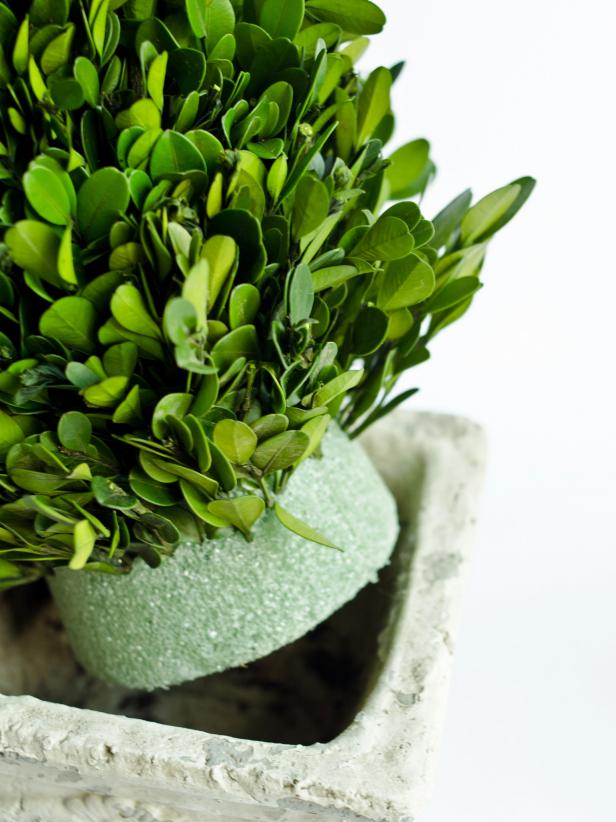 Working your way down, cover topiary form with bundled bunches of boxwood sprigs, leaving about 1-2 inches around the bottom uncovered. Pot topiary, and make sure all the foam is covered