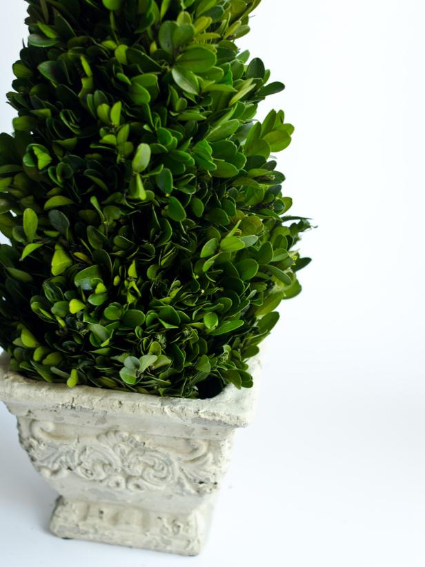 Working your way down, cover topiary form with bundled bunches of boxwood sprigs, leaving about 1-2 inches around the bottom uncovered. Pot topiary, and make sure all the foam is covered.