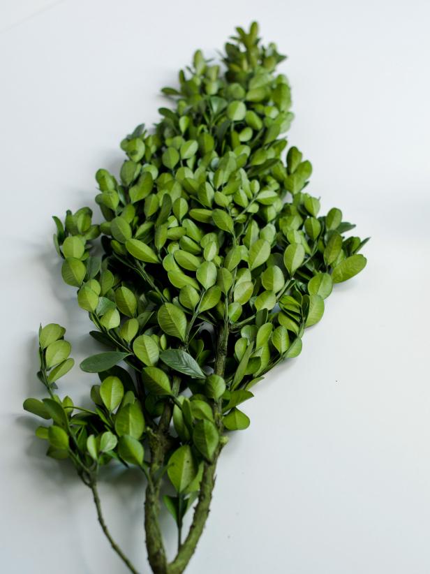 Pull or trim sprigs off a large preserved boxwood branch.