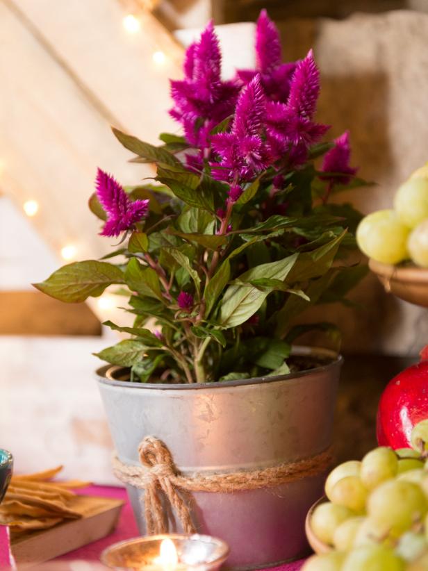 Original_Holidays-at-Home-Food-Table-Flowers_h