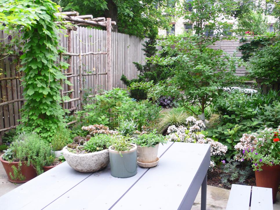 Backyard Garden and Picnic Table