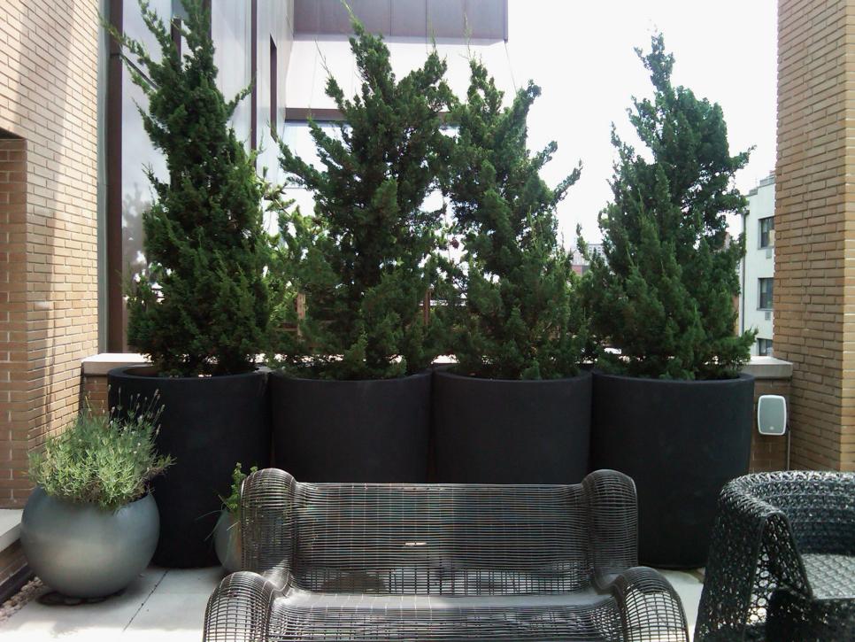 Patio with Large Black Planters and Modern Patio Furniture