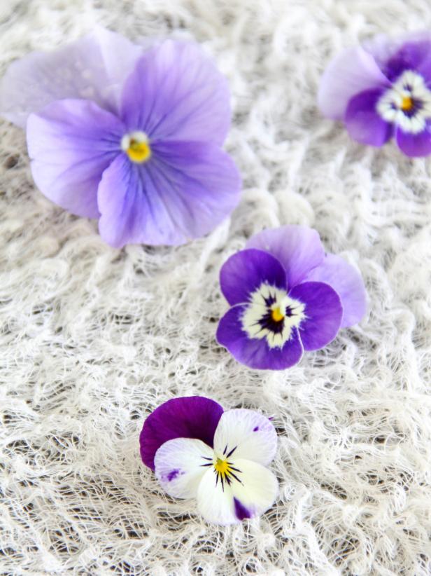 Original_Heather-Baird-Spring-Flower-Lollipop-Pansy-Viola-Petals_s3x4 Original_Heather-Baird-Spring-Flower-Lollipop-Pansy-Viola-Petals_s3x4