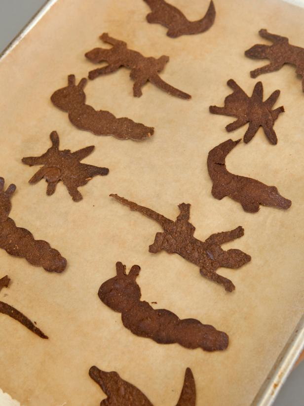 Spider and Lizard Chips