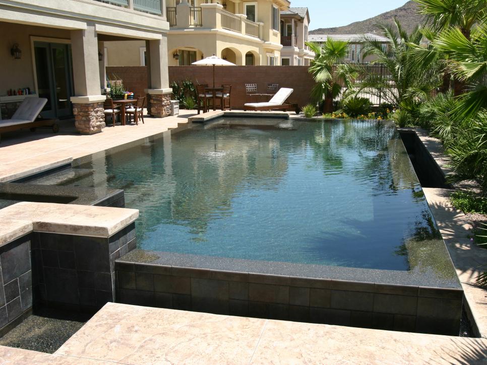 Contemporary Pool with Palm Trees