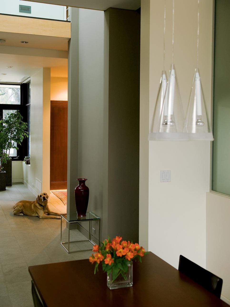 Central Atrium in Open Concept Home Modern Foyer With Dog