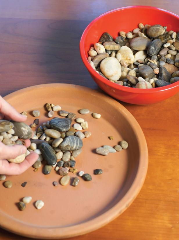 Fill terra-cotta saucer with a level layer of river rock and small pebbles to catch any drainage.