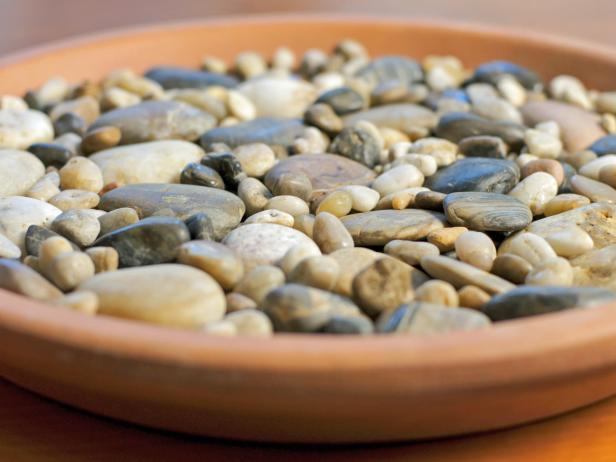 Fill terra-cotta saucer with a level layer of river rock and small pebbles to catch any drainage.