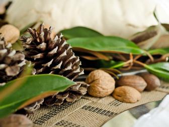 Pinecones, Magnolia Leaves and Nuts