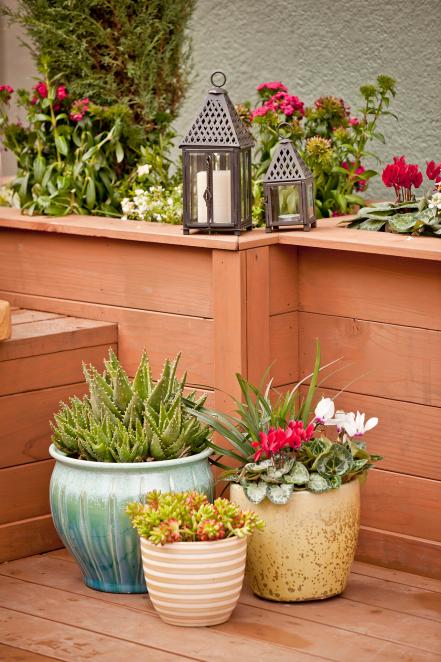 Succulent Planters