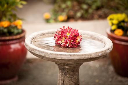 Beautiful Birdbath