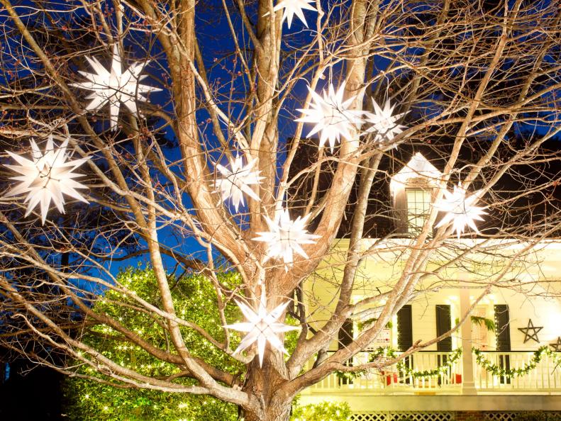 Exterior Tree With Moravian Star Decorations