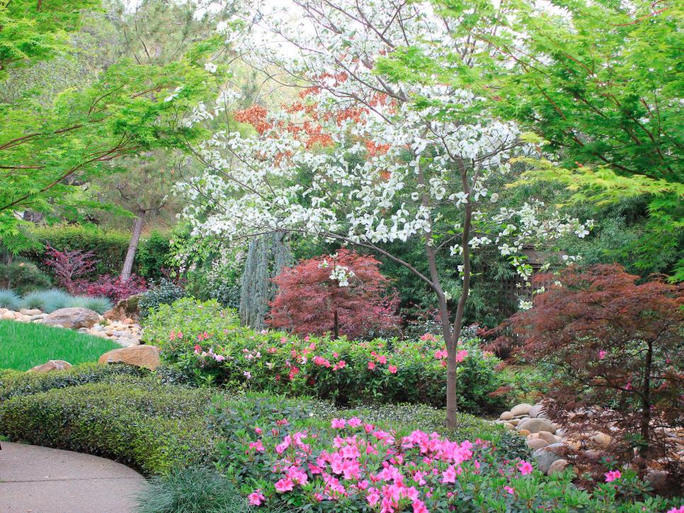 Asian-Themed Woodland Garden