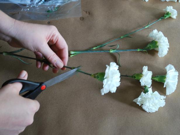 Cut Flower Stems
